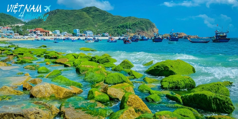 Kinh nghiệm tham quan và chụp ảnh tại bãi đá rêu