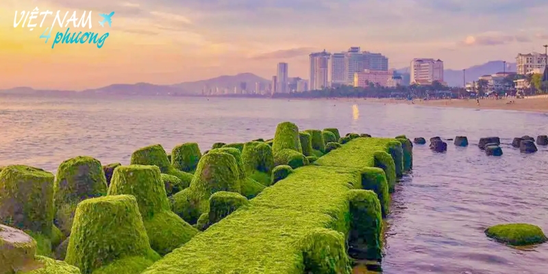 Thời điểm lý tưởng để tham quan bãi đá rêu
